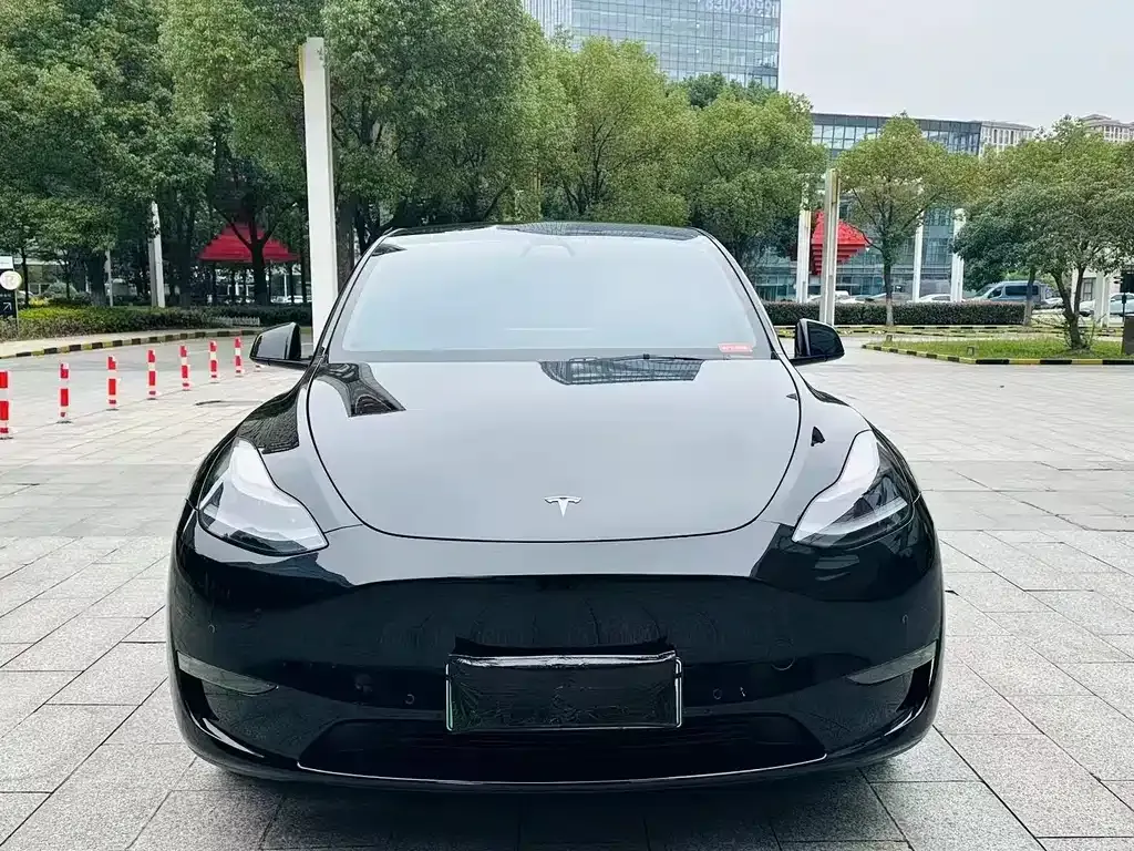 Tesla Model Y 2022 из CN, фото 4