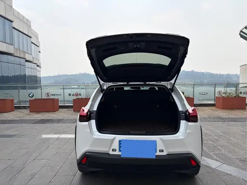 Lexus UX 2022 из CN, фото 3