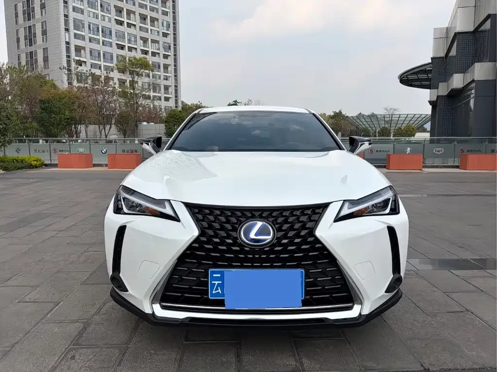Lexus UX 2022 из CN, фото 5