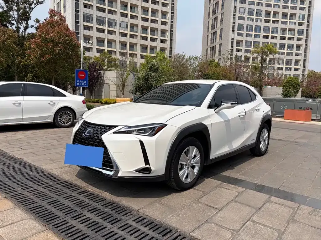 Lexus UX 2022 из CN, фото 10