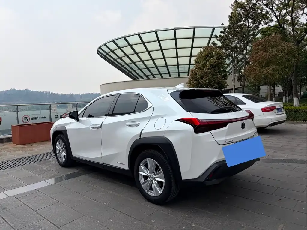 Lexus UX 2022 из CN, фото 7