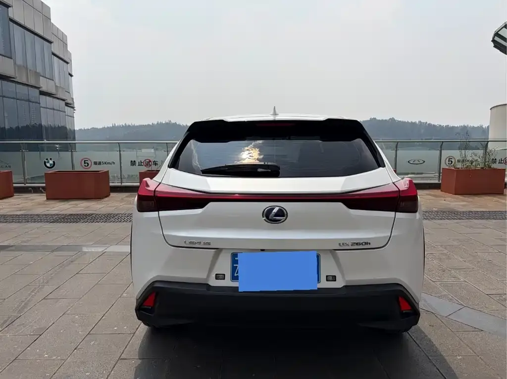 Lexus UX 2022 из CN, фото 6