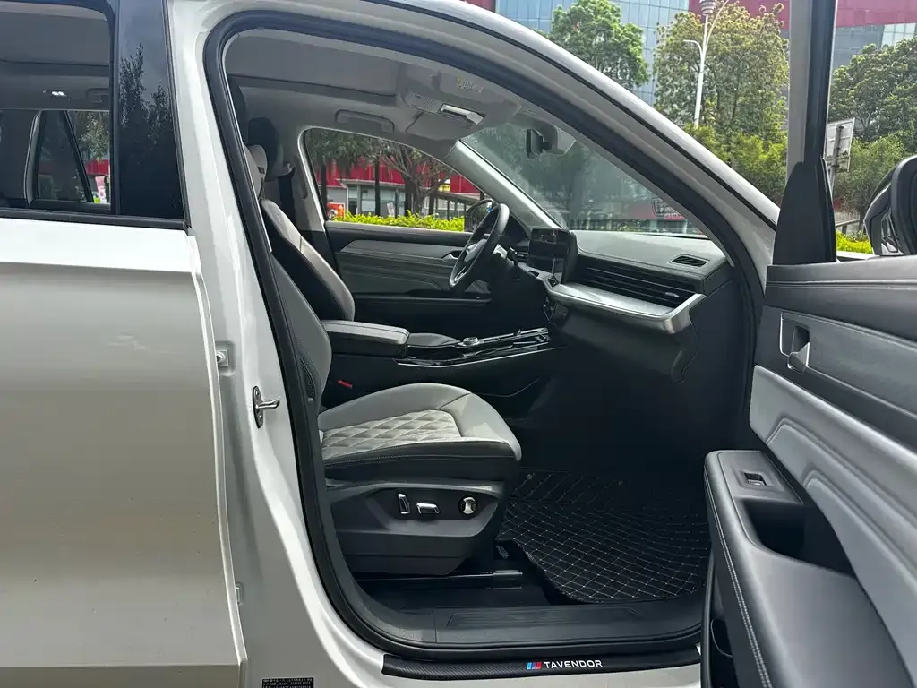 Volkswagen Tavendor 2024 из CN, фото 6