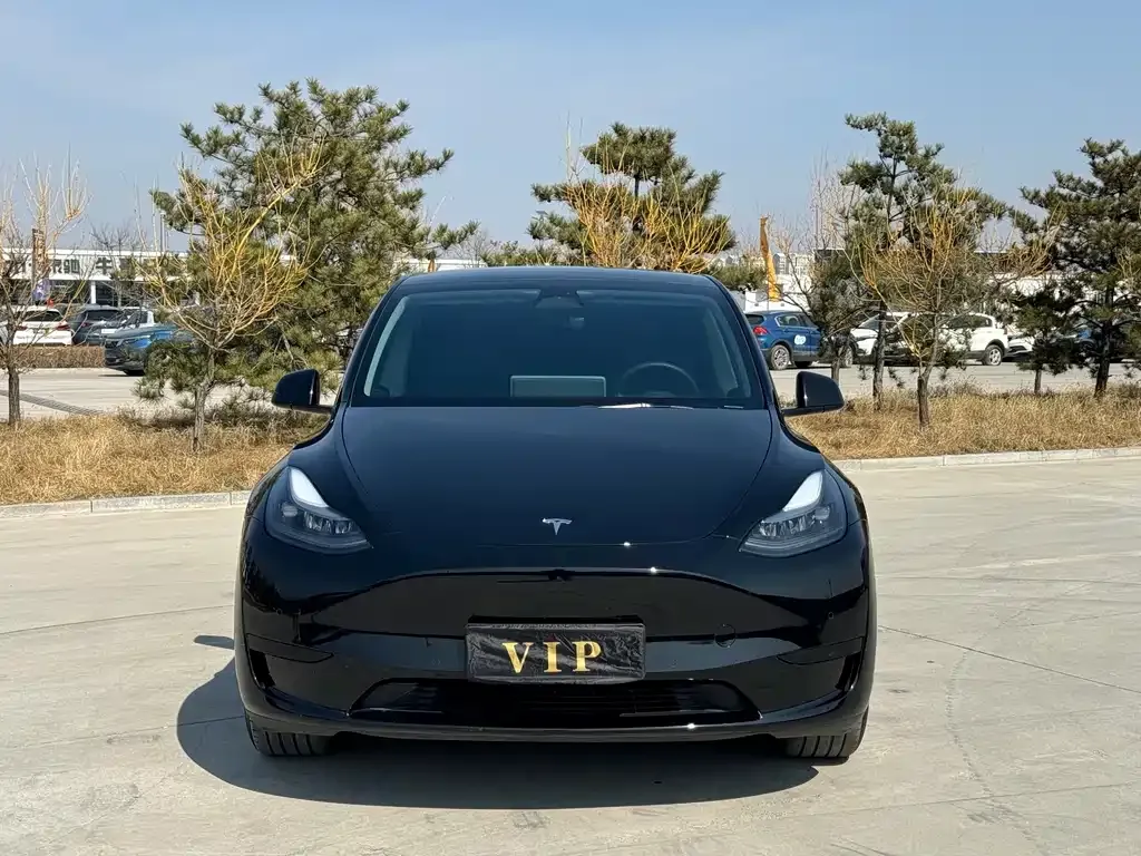 Tesla Model Y — фото 8