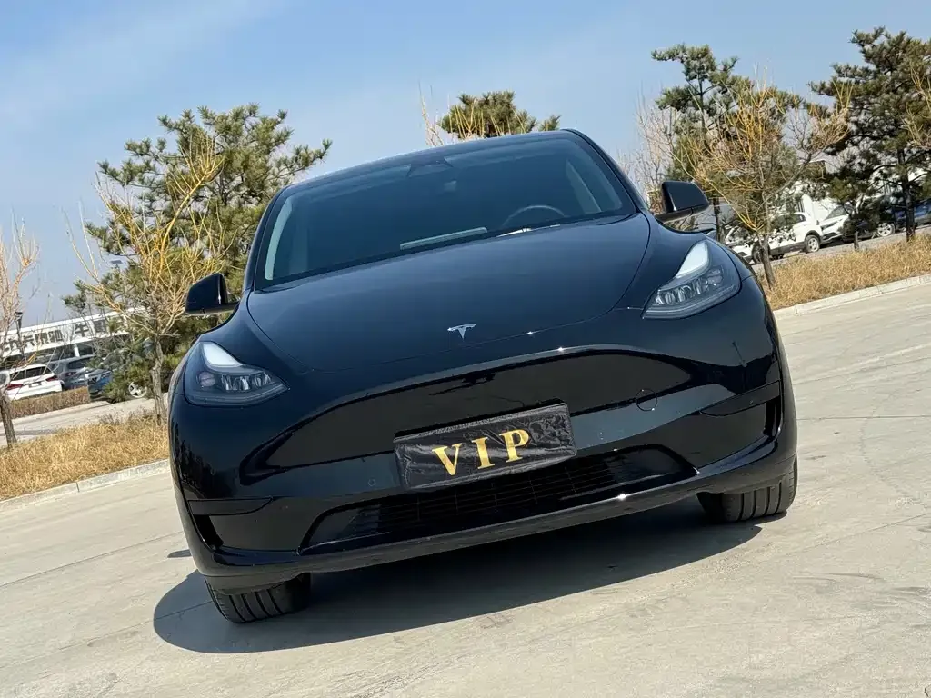 Tesla Model Y — фото 6
