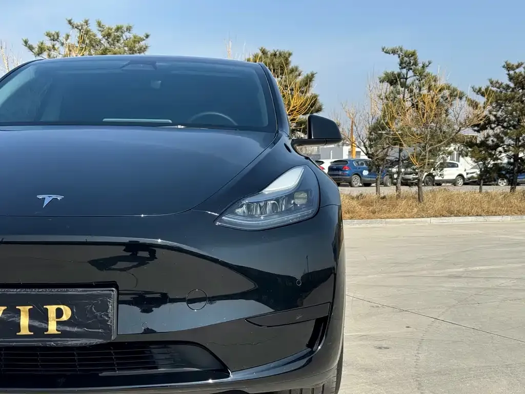 Tesla Model Y — фото 5