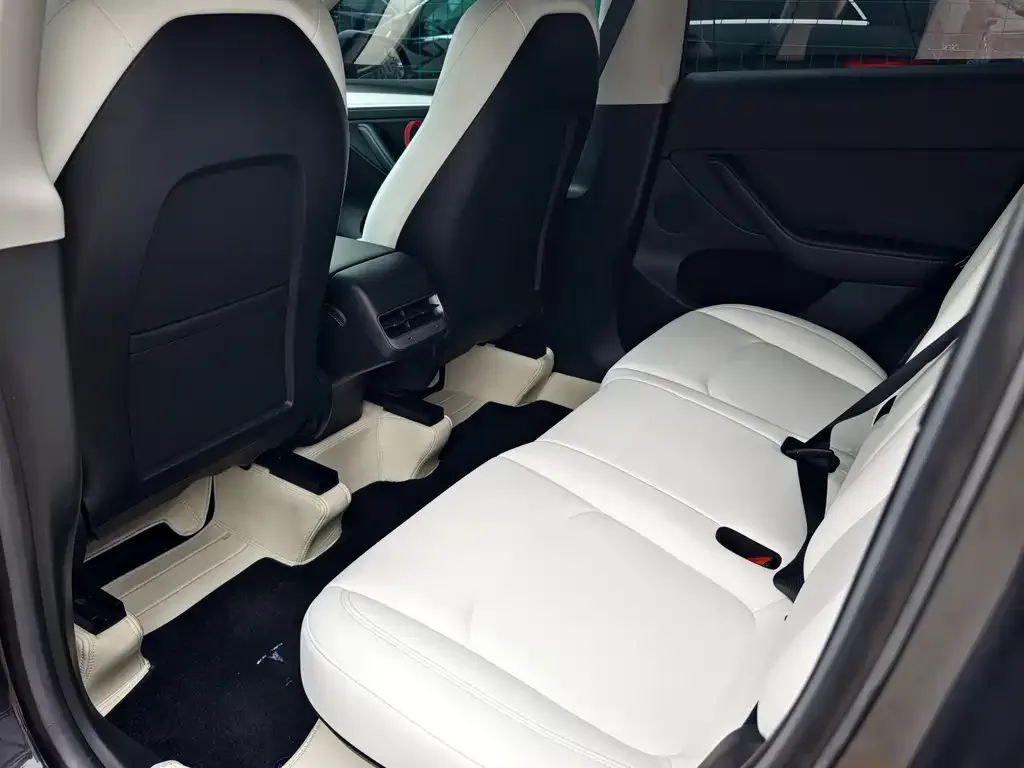 Tesla Model Y 2023 из CN, фото 3