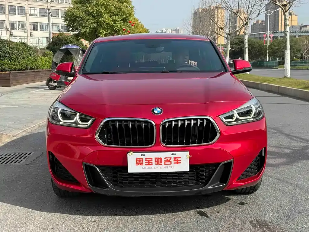 BMW X2 2022 из CN, фото 4