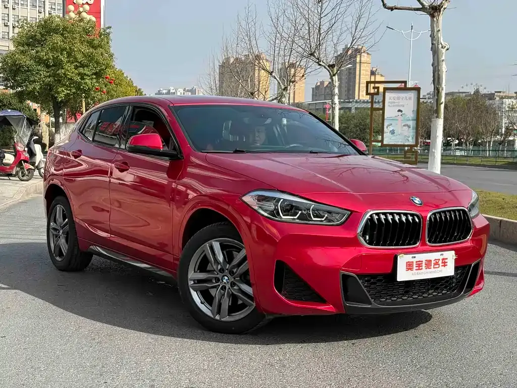 BMW X2 2022 из CN, фото 7