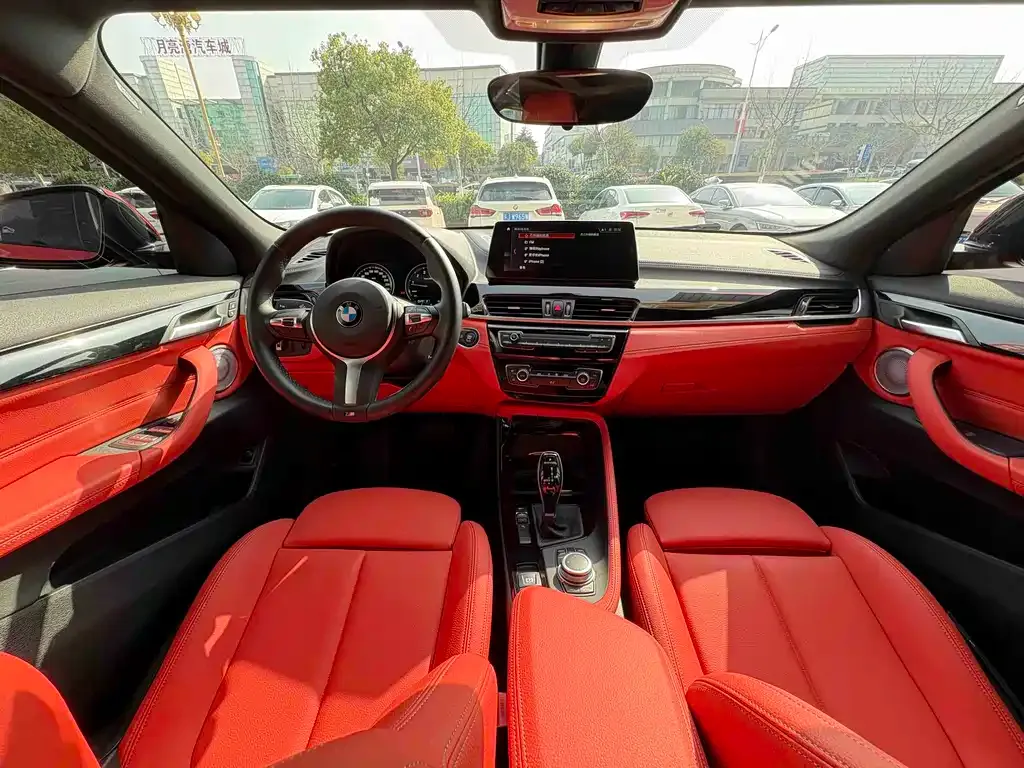 BMW X2 2022 из CN, фото 6