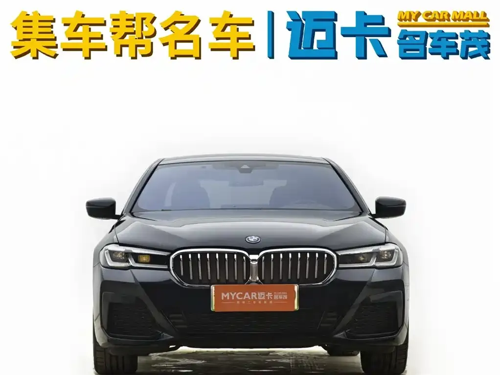 BMW 5 Series New Energy — фото 7