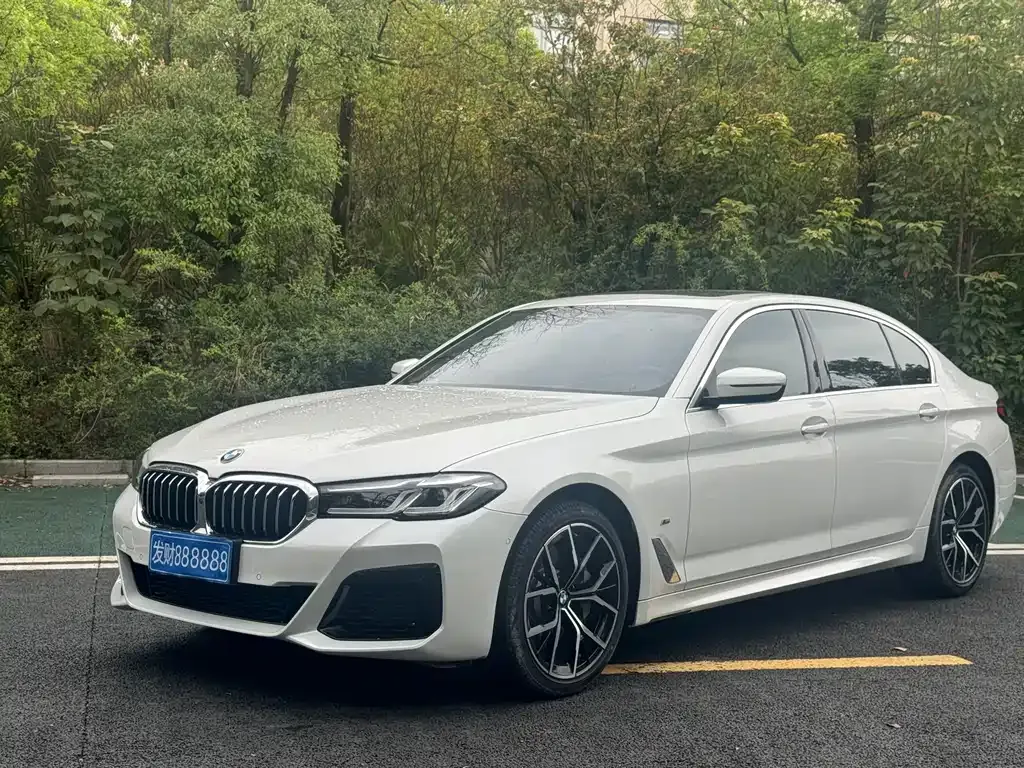 BMW 5 Series 2021 из CN, фото 1