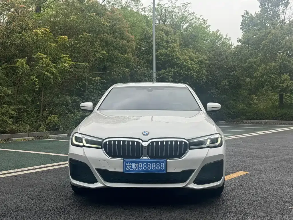 BMW 5 Series 2021 из CN, фото 6