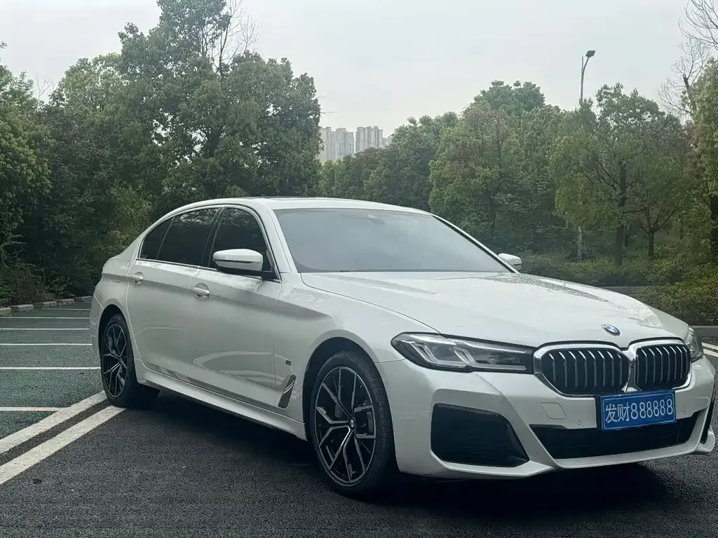 BMW 5 Series 2021 из CN, фото 7