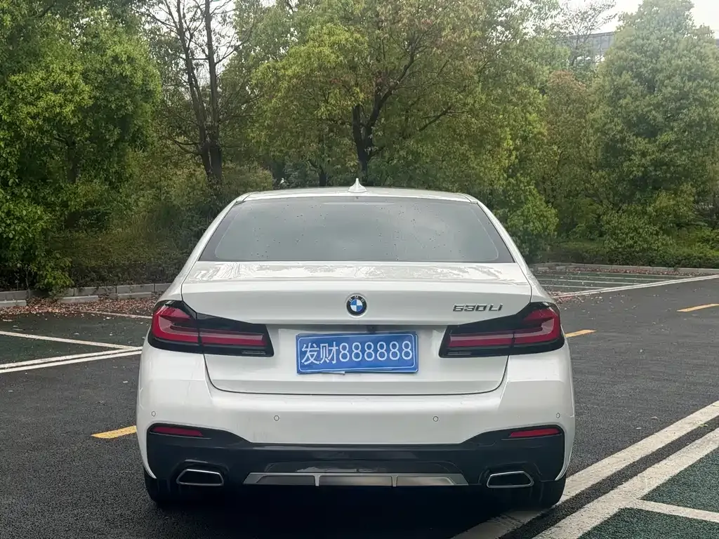 BMW 5 Series 2021 из CN, фото 4