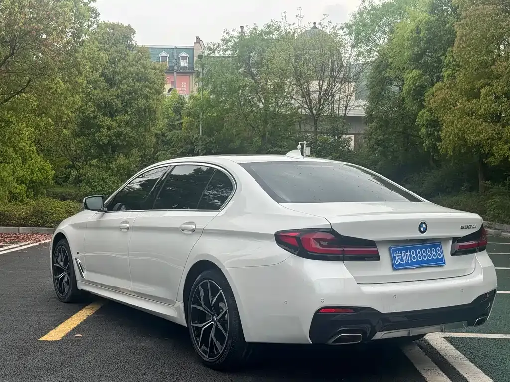 BMW 5 Series 2021 из CN, фото 10