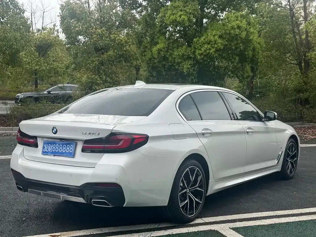BMW 5 Series 2021 из CN, фото 5
