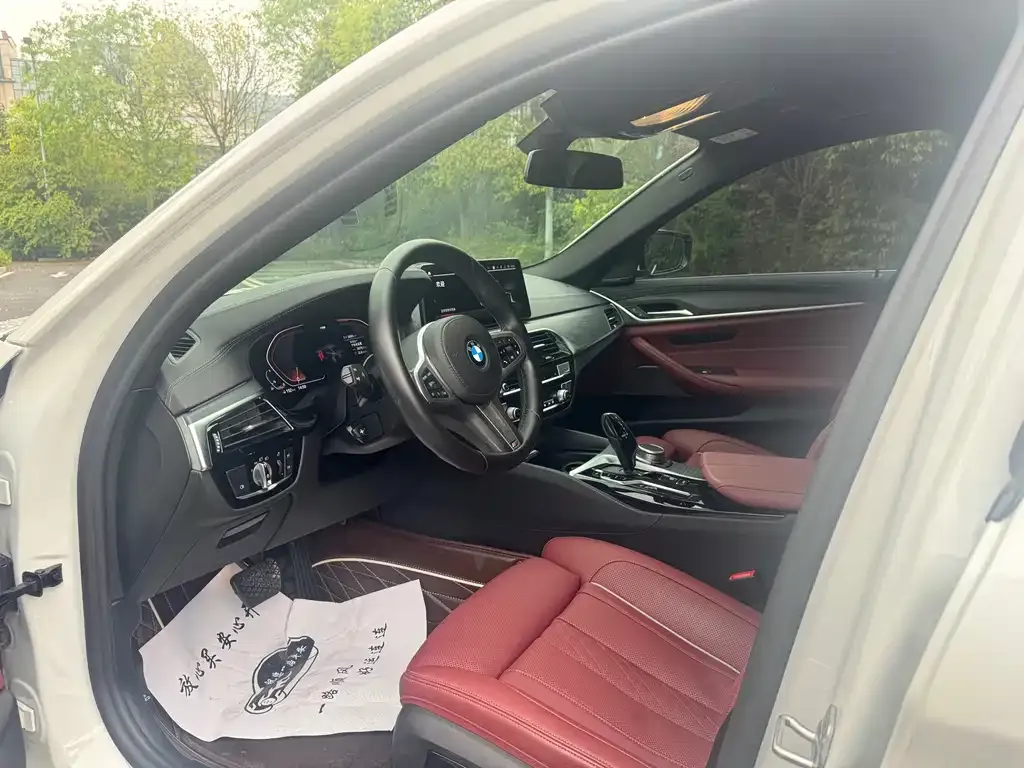 BMW 5 Series 2021 из CN, фото 8