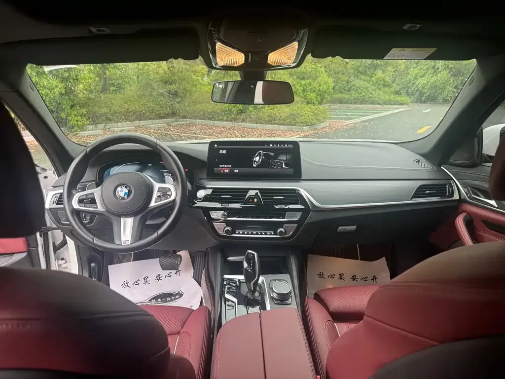 BMW 5 Series 2021 из CN, фото 3