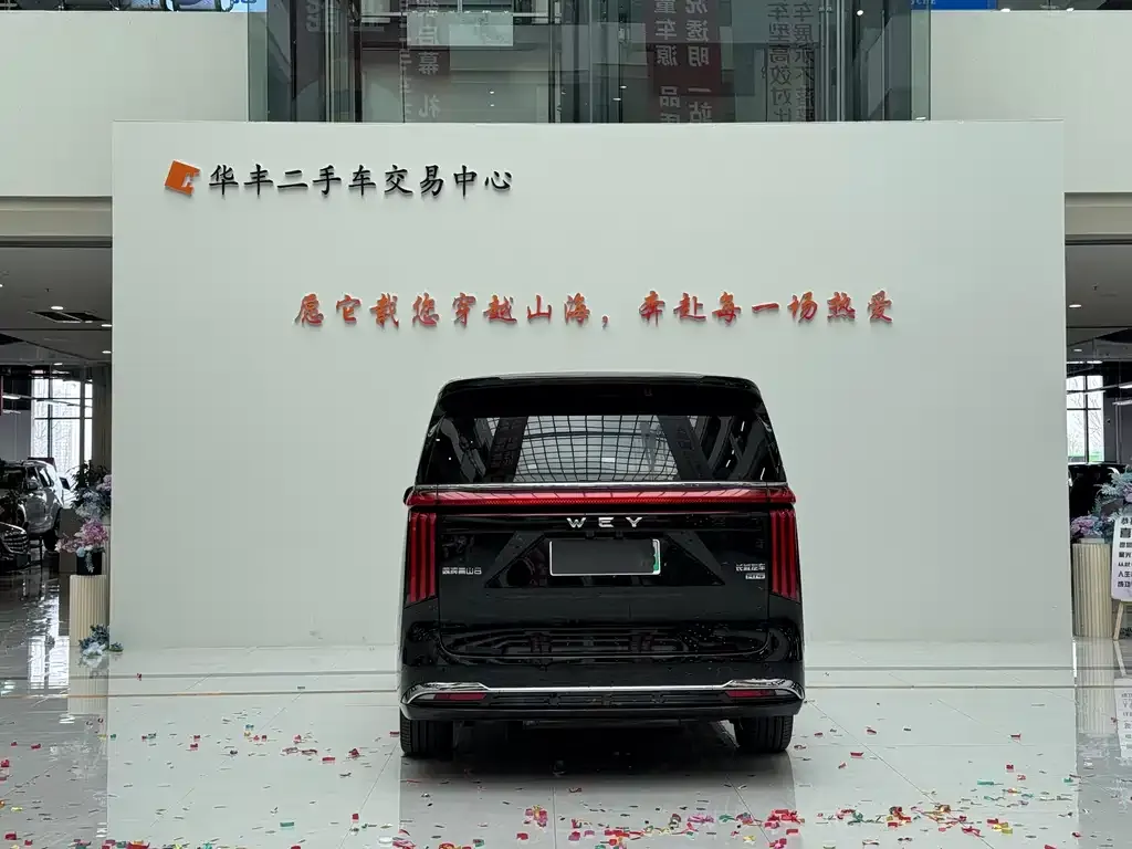 Wey Gaoshan 2025 из CN, фото 3
