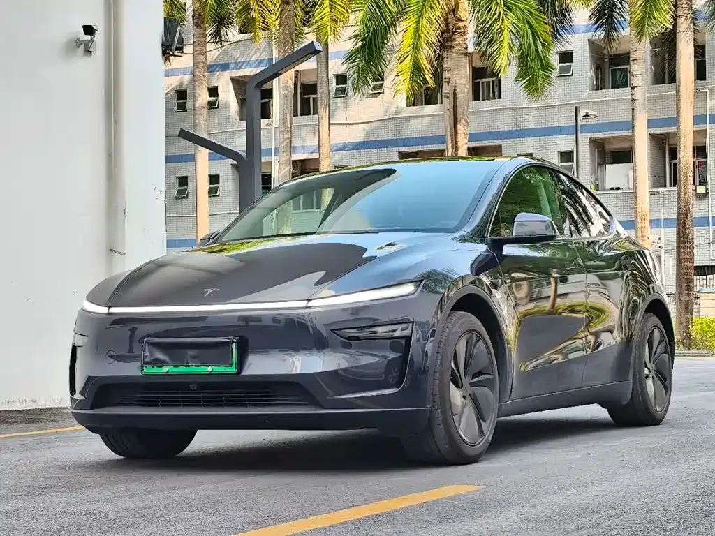 Tesla Model Y — фото 1