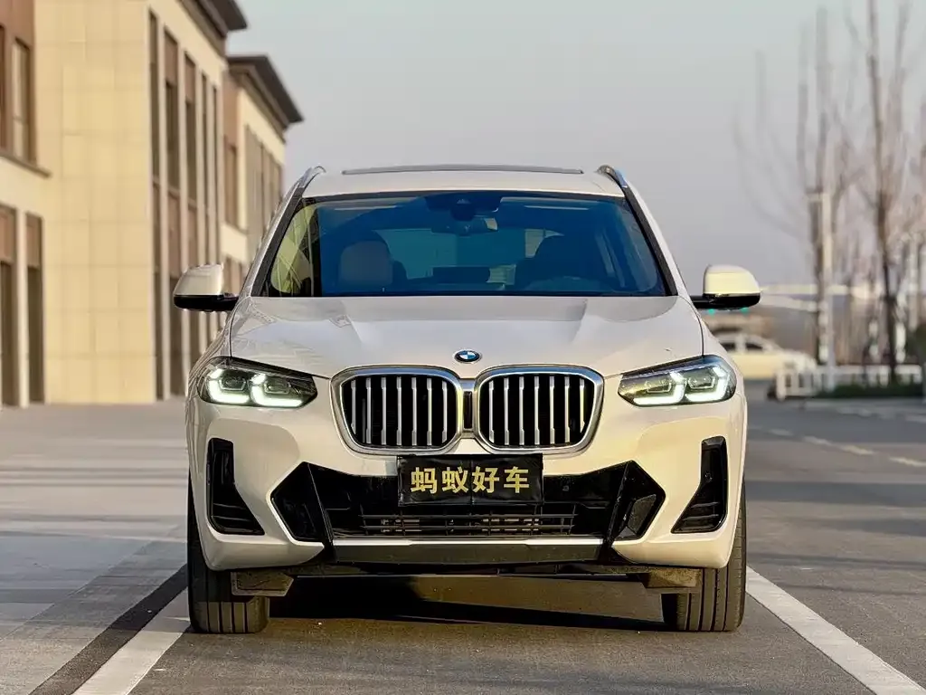 BMW X3 2022 из CN, фото 6