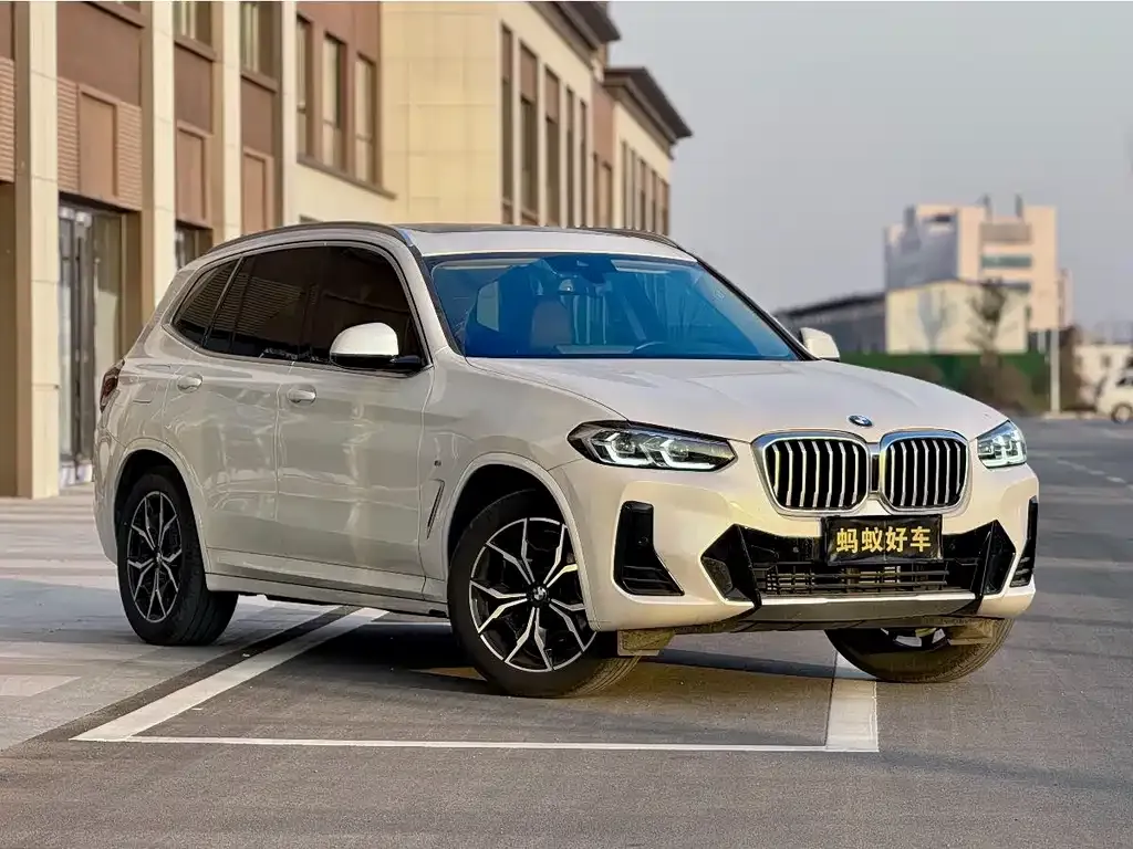 BMW X3 2022 из CN, фото 10