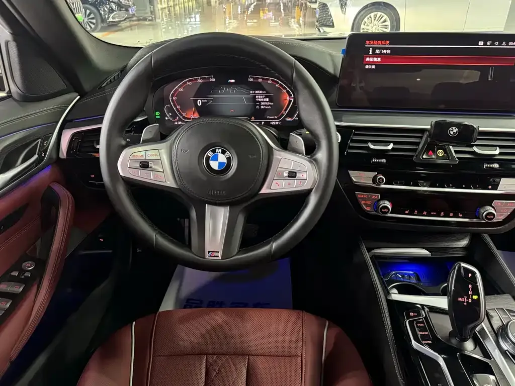 BMW 5 Series 2024 из CN, фото 9