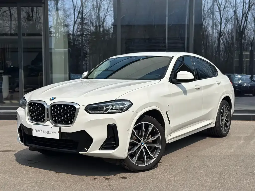 BMW X4 2023 из CN, фото 1