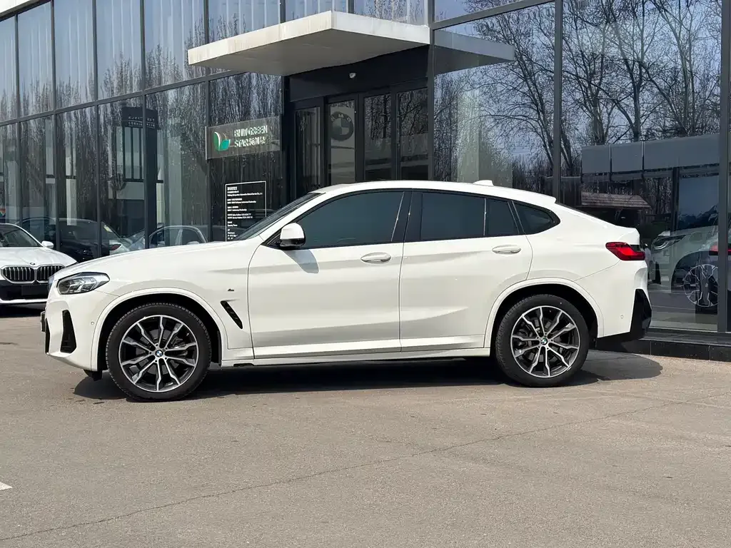 BMW X4 2023 из CN, фото 8