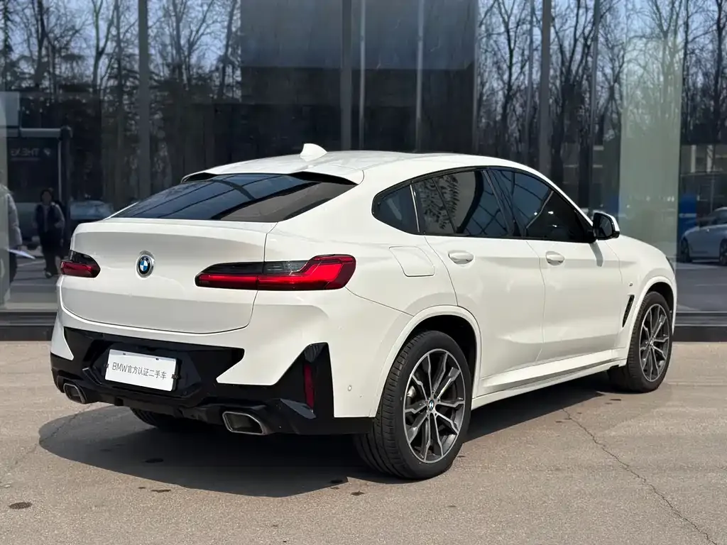 BMW X4 2023 из CN, фото 4