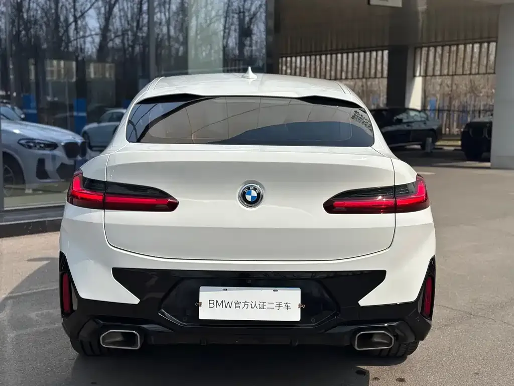 BMW X4 2023 из CN, фото 2