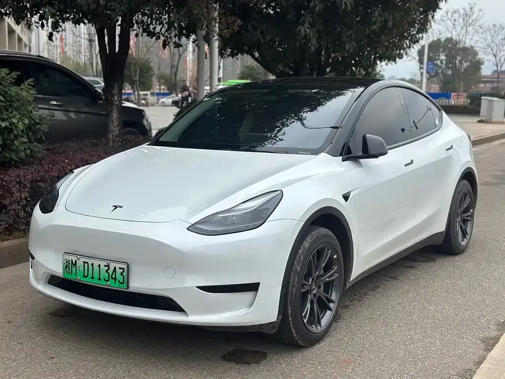 Tesla Model Y — фото 1