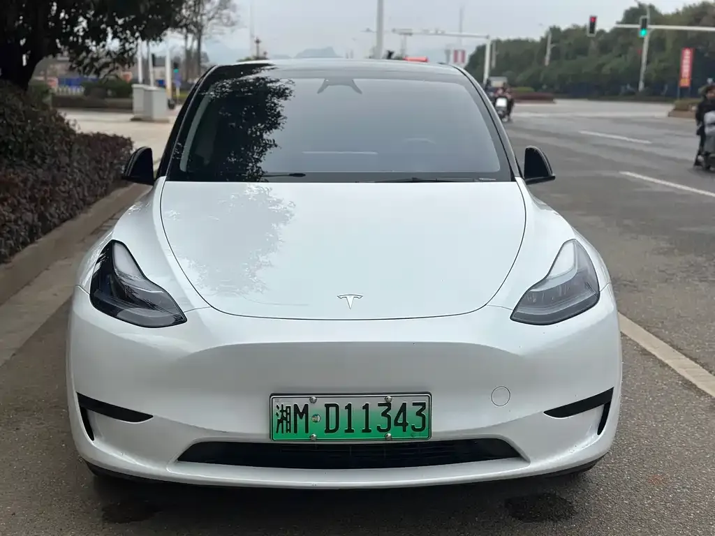 Tesla Model Y — фото 8