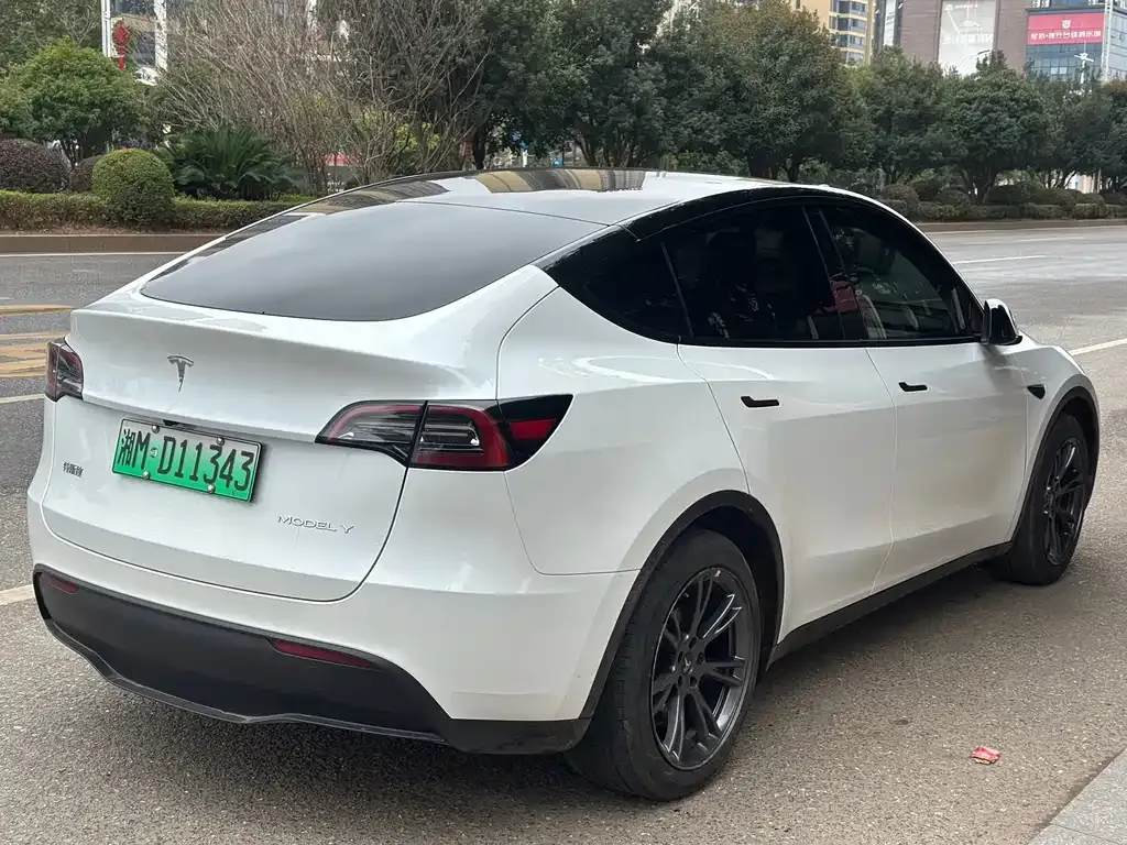 Tesla Model Y — фото 6