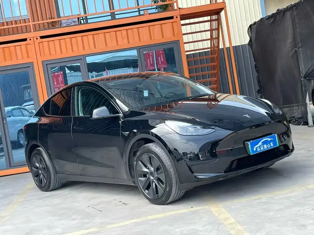 Tesla Model Y 2023 из CN, фото 9