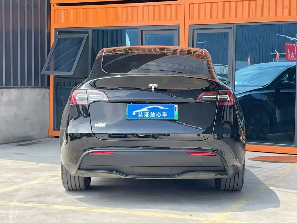 Tesla Model Y 2023 из CN, фото 7