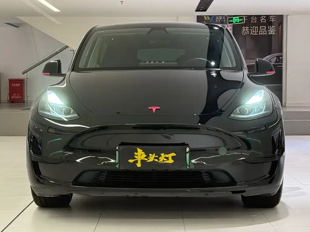 Tesla Model Y — фото 2