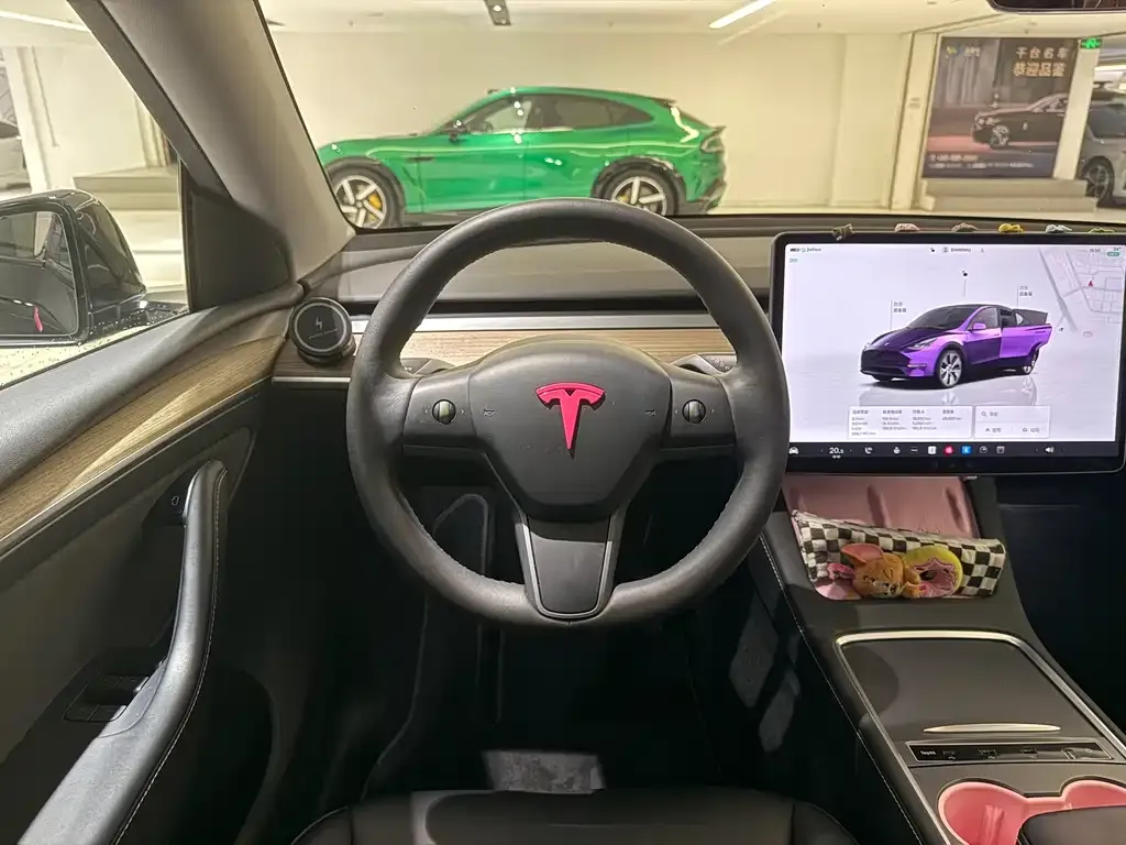 Tesla Model Y — фото 10