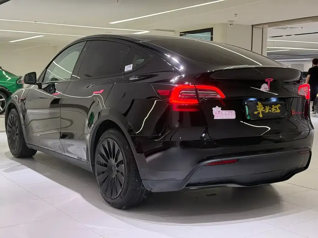 Tesla Model Y — фото 8