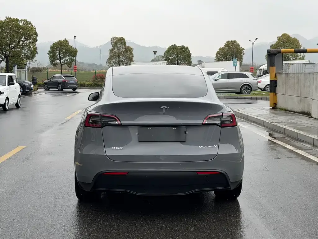 Tesla Model Y — фото 8