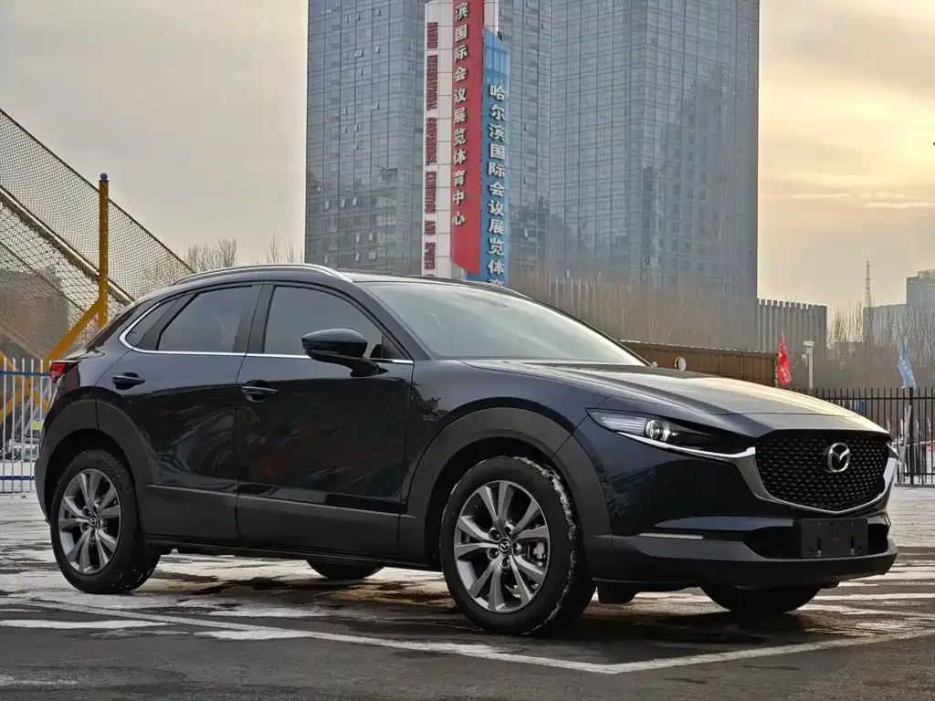 Mazda CX-30 2022 из CN, фото 10