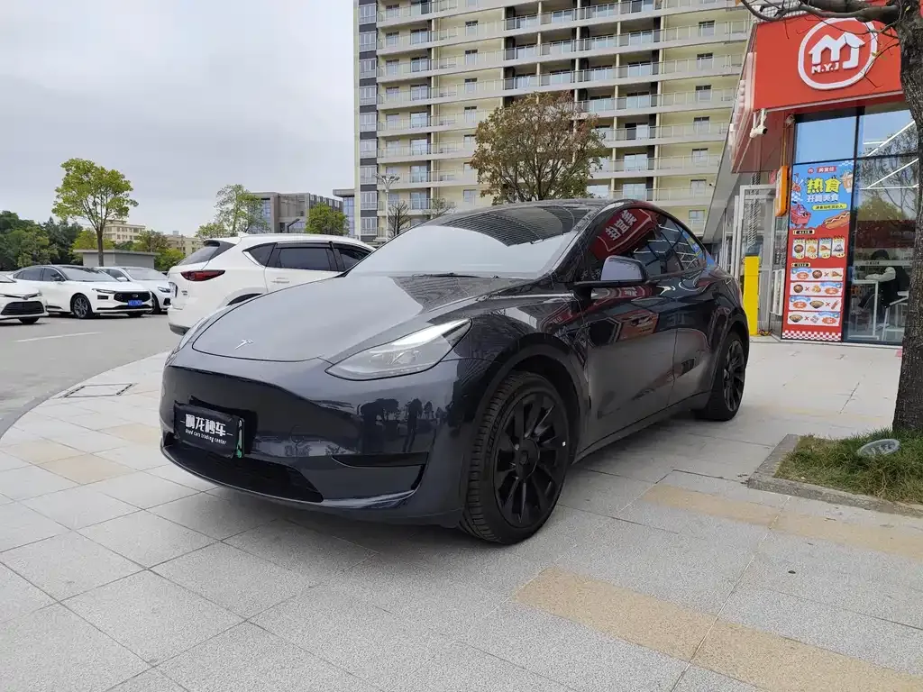 Tesla Model Y 2025 из CN, фото 1