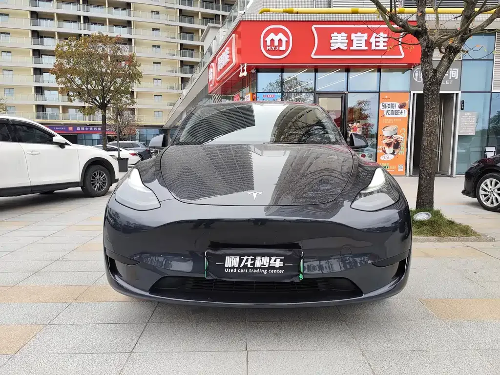 Tesla Model Y 2025 из CN, фото 9