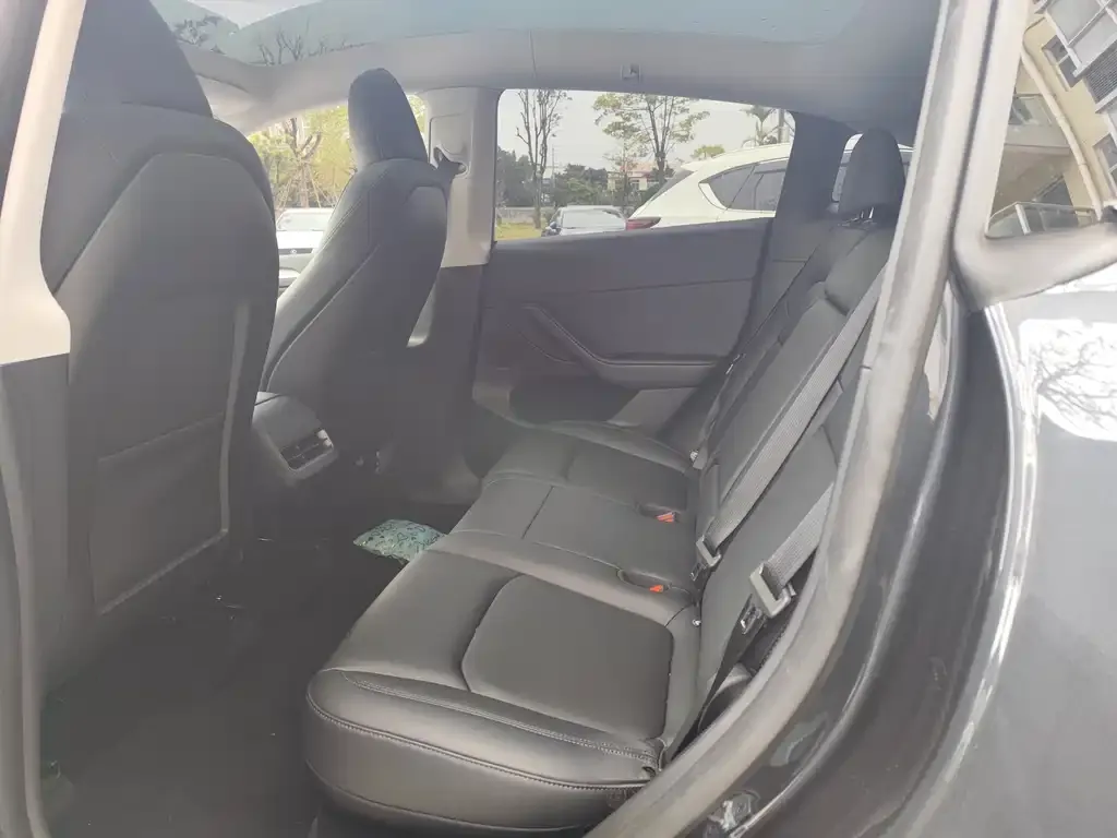 Tesla Model Y 2025 из CN, фото 2