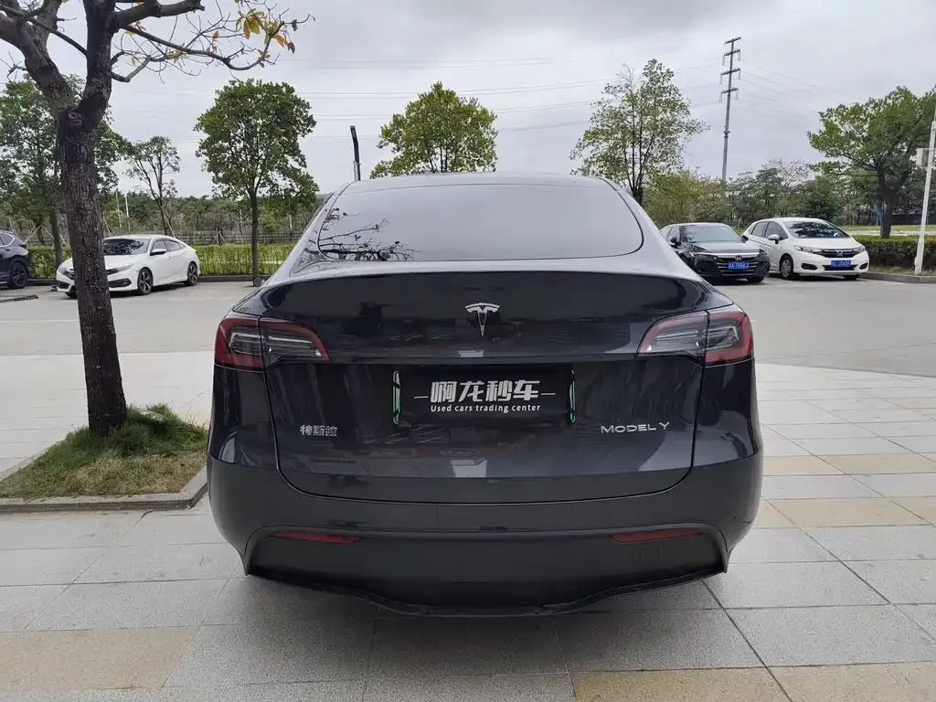 Tesla Model Y 2025 из CN, фото 5