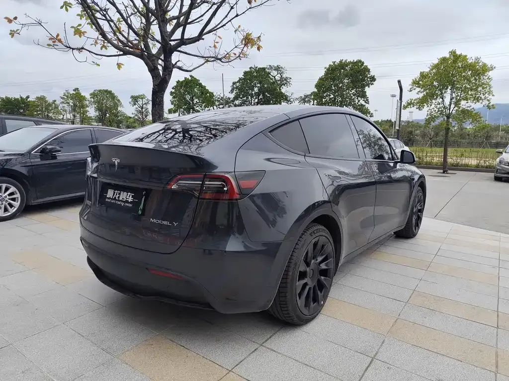 Tesla Model Y 2025 из CN, фото 6
