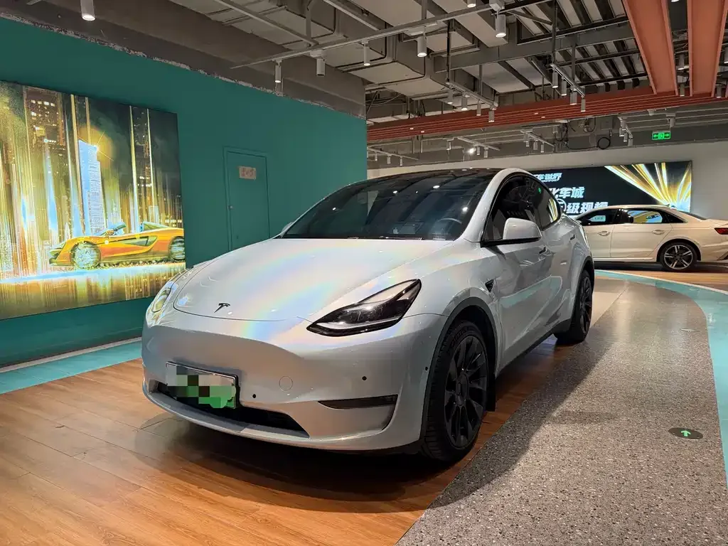 Tesla Model Y — фото 1