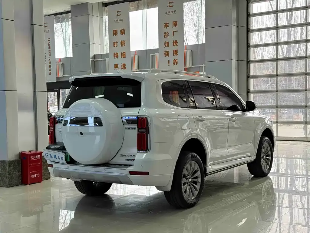 Tank 500 New Energy 2024 из CN, фото 10