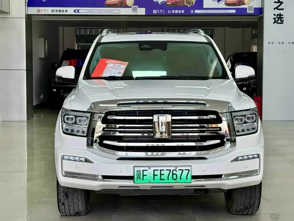 Tank 500 New Energy 2024 из CN, фото 9